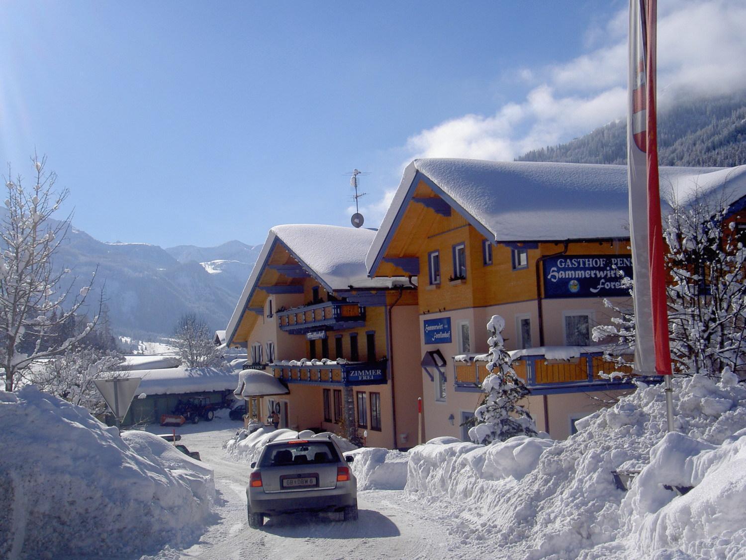 Hotel Hammerwirt - Forellenhof Untertauern Exterior photo